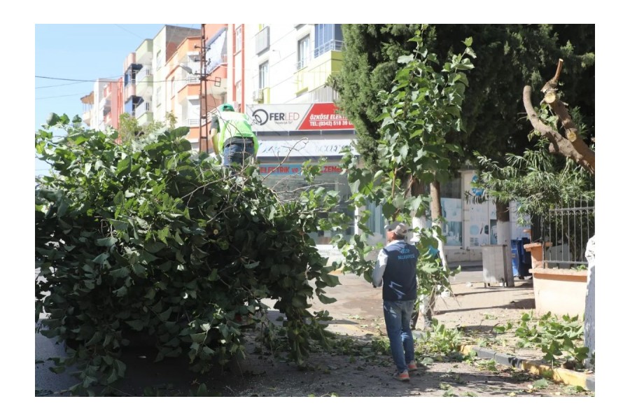 Daha sağlıklı, güvenli ve yeşil doğa için çalışmalarımıza devam ediyoruz