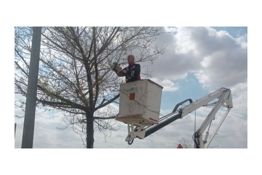 Daha Yeşil Bir Nizip İçin Durmaksızın Çalışıyoruz.