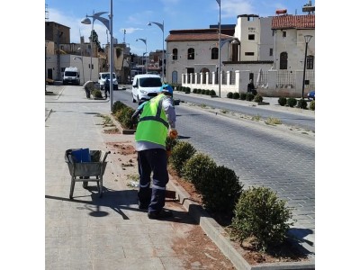 PEYZAJ ÇALIŞMALARI